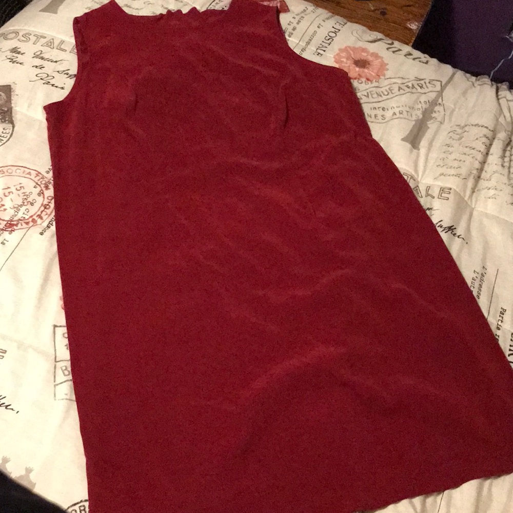 Red Velvet Sleeveless Dress
